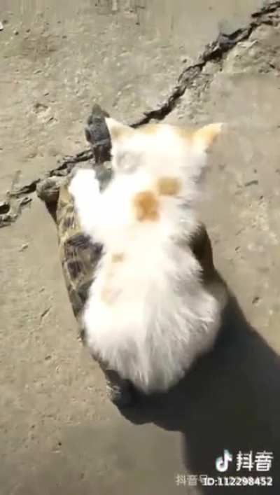 hitching a ride