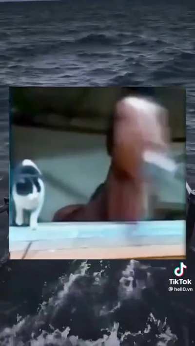 Bro took his cat allergy personally.