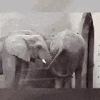 Don’t knock it till you try it