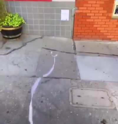 Free wifi.