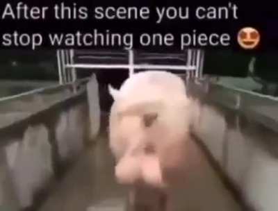😭😭😭😭