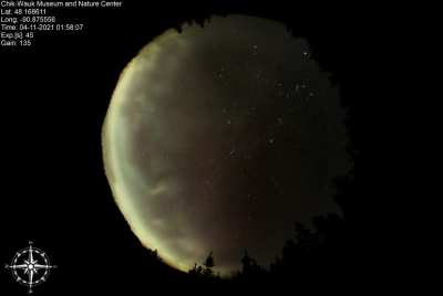 Aurora captured last night in northern MN!