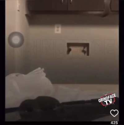 She tries to get a rat out the house with a blunt...