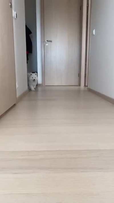 Cute little girl