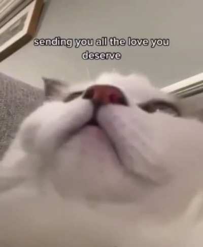 Wholesome video I saw that I thought belonged here