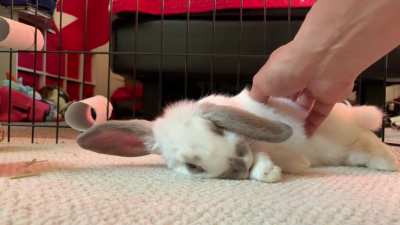 My First Flop 😍