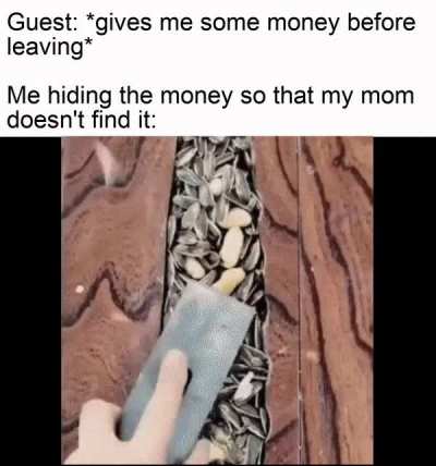 sneak 100