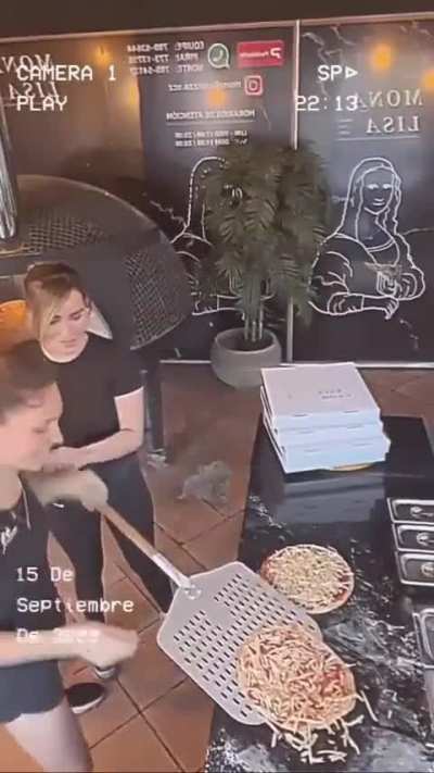 To put a Pizza in the oven.