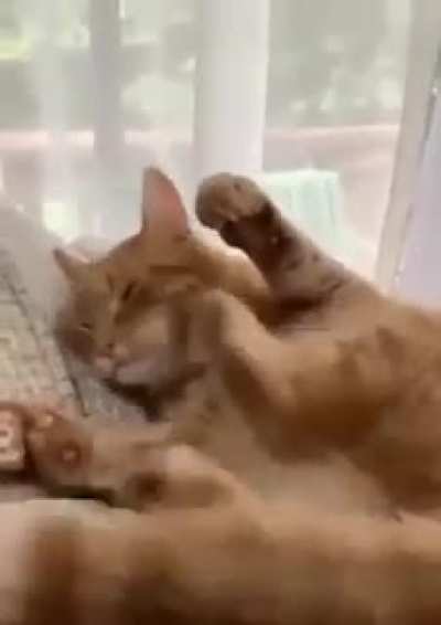 Betrayal