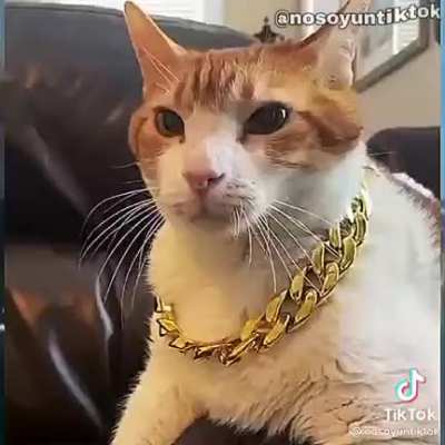 🤨