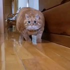 Aw lawd he sneakin