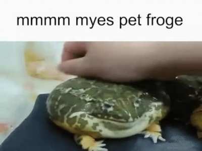 Froggie