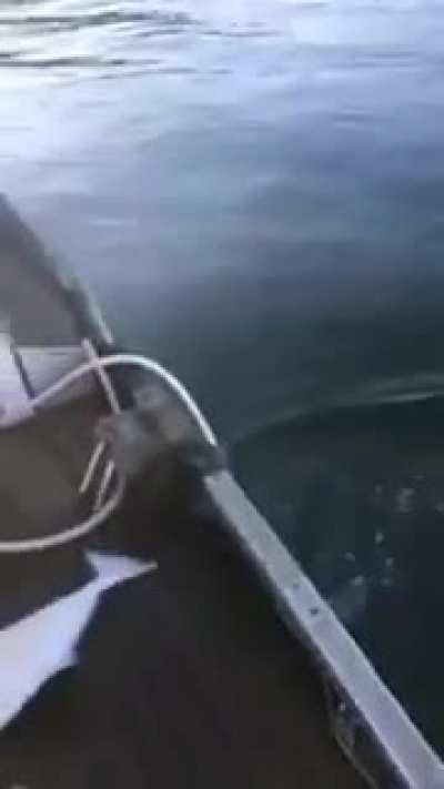 This fishing method is different
