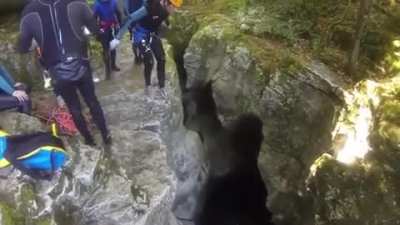 Leaning over edge