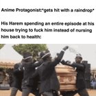 Sick MC harem episodes in a nutshell