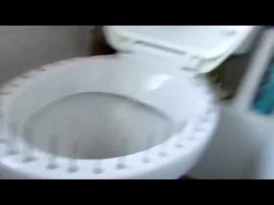“Pranks” nowadays be like