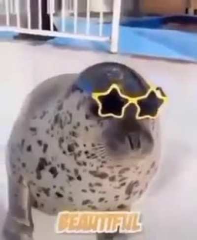 Super Hyper