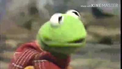 This is Kermit the frog