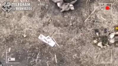 Drone drops on Russian soldiers in Vodyane, Donetsk.