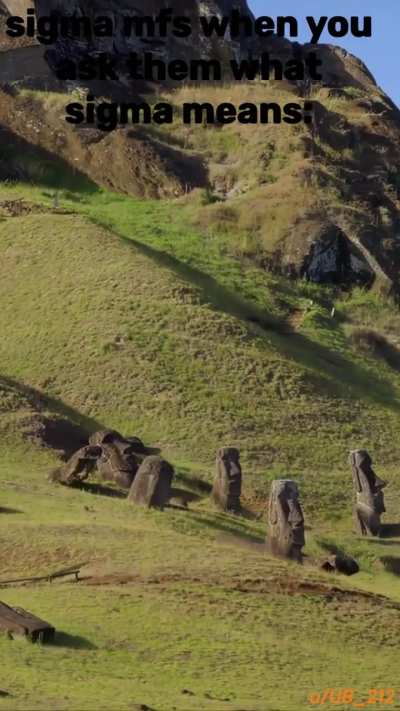 🗿🗿🗿