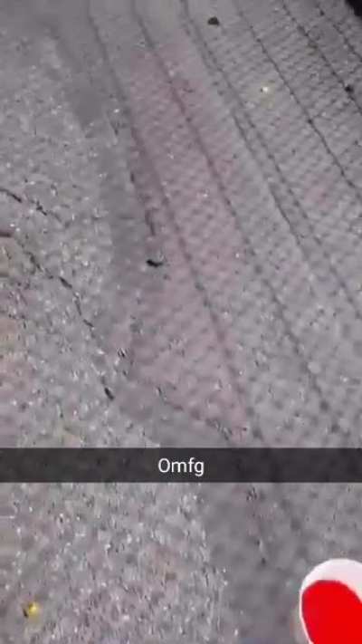 Bottle flip fail [OC]