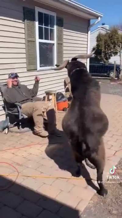 Looks like someone was hurt in this video