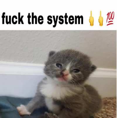 Silly of a Down