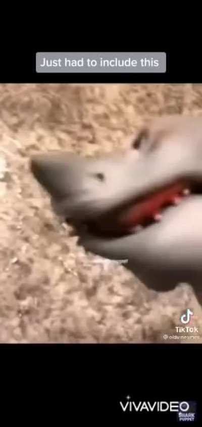Jaws. (Deleted Scene)