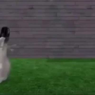 What am i even watching