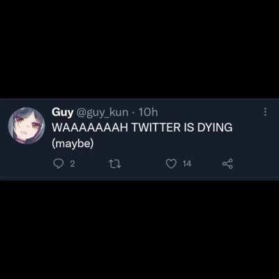 twier