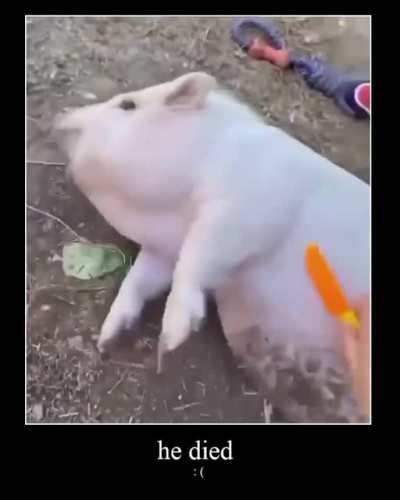 Gore no miren