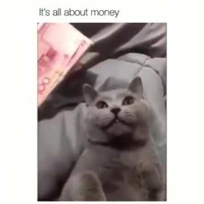If I only knew about it sooner