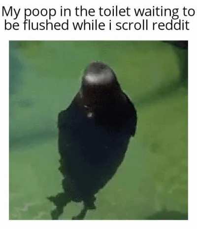 and then i forgor