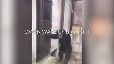 Its friday fellow monke