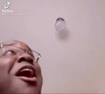 Cat goes YEET