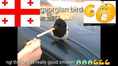 🇬🇪😎💪 🇷🇺🏳️‍🌈🤢