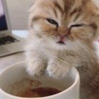 sleepy