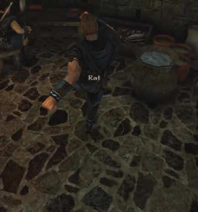Rat