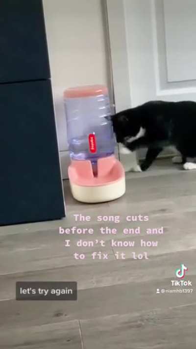 Made my first TikTok. I’m not great with making videos but I tried my best lol