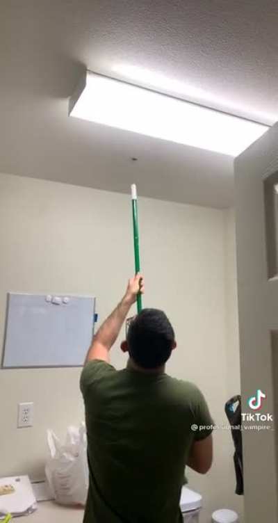Trying to kill a bug