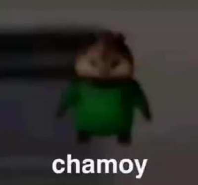 big chungus