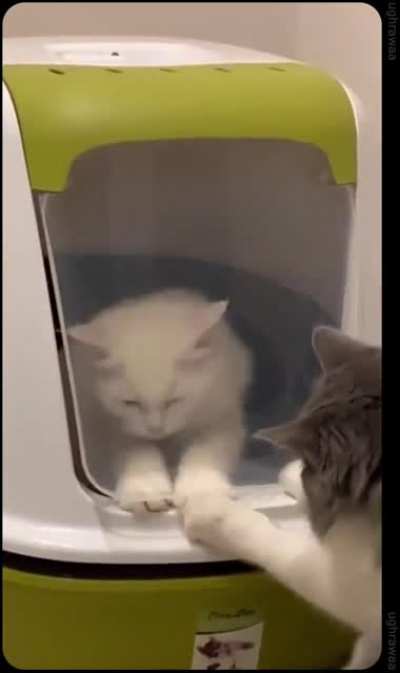 “must I stay here for eternity”