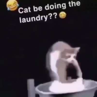Bruh moment.