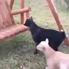 Well, that didn't go as planned