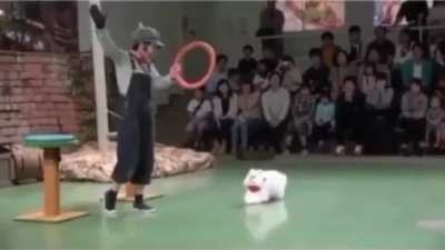 Maybe maybe maybe