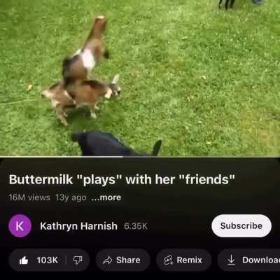 Playful wunk