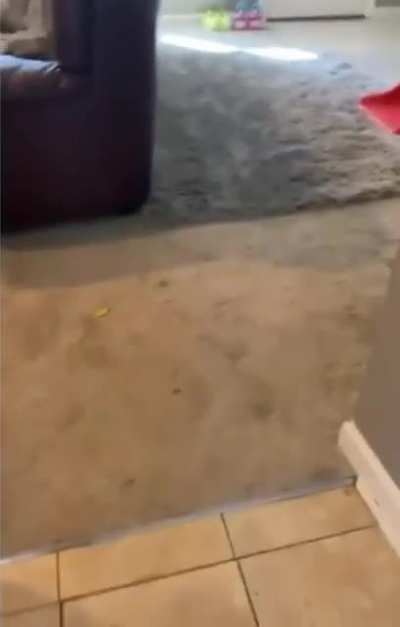 Pure Chaos