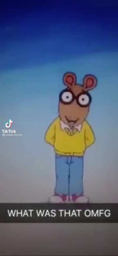 rabbit