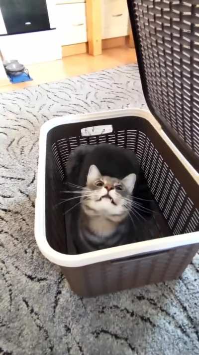 F off