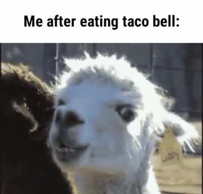Or anyone really